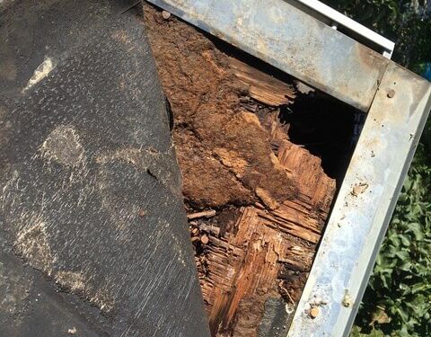 Rotten wood beneath slate roof